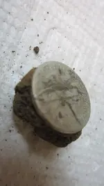 Park Finds 3-28-15 008.webp