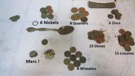 Park Finds 3-28-15 011.webp