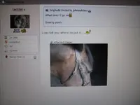troll 001.webp