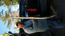 20150328_175103.webp