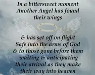 IMG_20150404_071019.webp