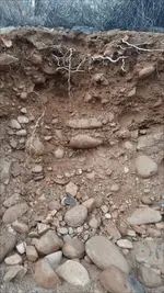 Screenshot_2014-09-04-00-46-36.webp