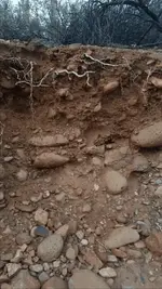 Screenshot_2014-07-18-09-50-53.webp