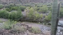 Screenshot_2014-07-18-09-50-30.webp