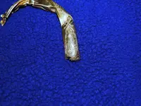 K1600_047.webp