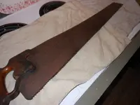 DSCN3381.webp