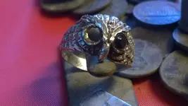 .925 owl 2.webp