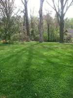 ImageUploadedByTreasureNet.com1429053531.880652.webp