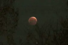 blood moon 1.webp