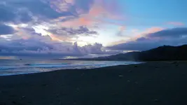 DSCN8354.webp