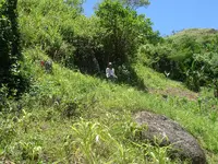DSC01394.webp