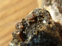 crystals 1 015.webp