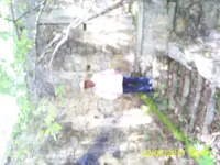 S5031316.webp