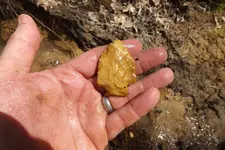 creek finds 3-29-15 005.webp