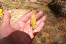 creek finds 3-29-15 007.webp creek finds 3-29-15 007.webp