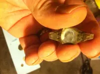ImageUploadedByTreasureNet.com1430189982.425300.webp