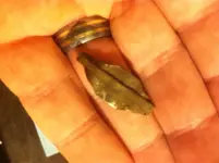 ImageUploadedByTreasureNet.com1430190000.762502.webp