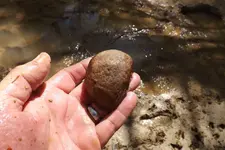 creek finds 3-29-15 010.webp