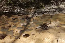 creek finds 3-29-15 003.webp