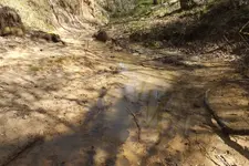 creek finds 3-29-15 011.webp creek finds 3-29-15 011.webp