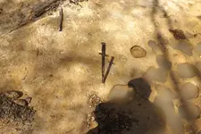 creek finds 3-29-15 012.webp