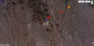 VM4- Red Fox 4.webp