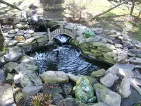 006.webp