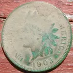 DSCN4985.webp