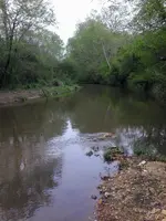 1429048725545.webp