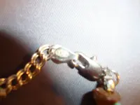DSC03963.webp