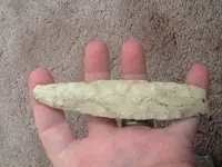 ImageUploadedByTreasureNet.com1428504040.376292.webp