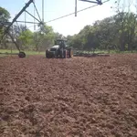 Tractor.webp