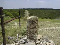 PIC00031.webp