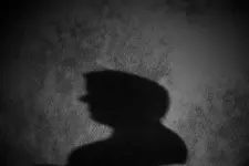 A shadow.webp
