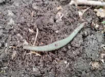 20150427_141130 (2).webp