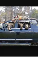 image-111907862.webp