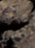 SuperstionMts1top(right)owl.webp