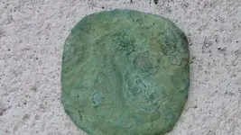 coin petina.webp