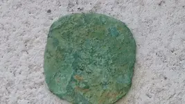 coinpetina2.webp