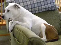 DSCN8638.webp