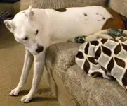 DSCN8529.webp