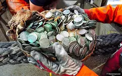 salvage_5_3267613b.webp