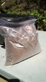G-bone sample bag.webp