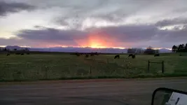 sunset3.webp