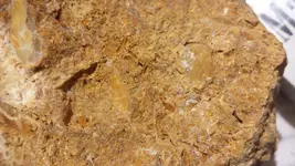 20130116_121617.webp