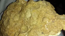 20130116_123933.webp