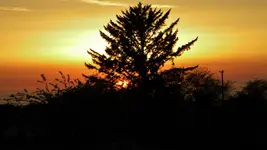 DSCN8465.webp