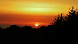 DSCN8468.webp