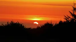 DSCN8470.webp