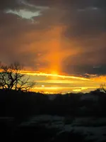 folder #1 056.webp